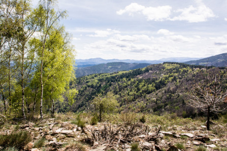 Randonnée du col des Abeilles