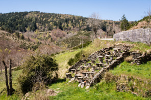 Randonnée de Saint-Maurice au signal de Ventalon – Ruchers troncs