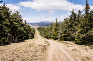 Randonnée de Saint-Maurice au signal de Ventalon – Draille du Languedoc