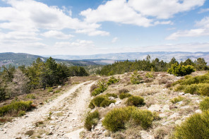 Randonnée de Saint-Maurice au signal de Ventalon – Sommet