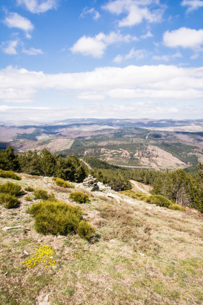 Randonnée de Saint-Maurice au signal de Ventalon – Sommet