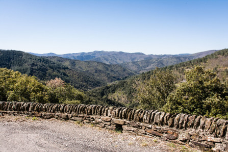 Près de Saint-Privat-de-Vallongue