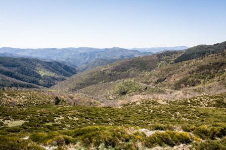 Col de Malpertus