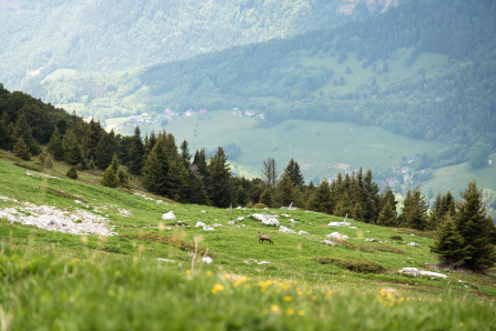 Randonnée de Chamechaude