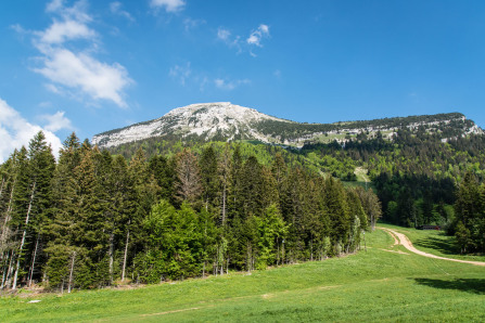 Randonnée de Chamechaude