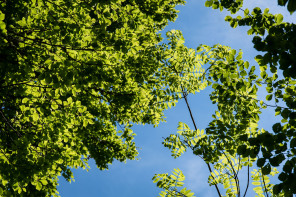 Randonnée du bec de La Scia (printemps) – Partie jusqu'au sommet du télésiège