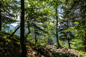 Randonnée du bec de La Scia (printemps) – Partie jusqu'au sommet du télésiège