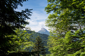 Randonnée du bec de La Scia (printemps) – Partie jusqu'au sommet du télésiège