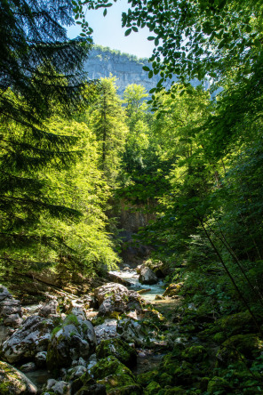 Gorges du Guiers Mort