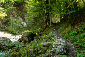 Gorges du Guiers Mort