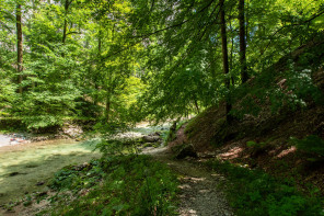 Gorges du Guiers Mort