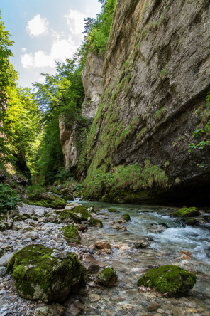 Gorges du Guiers Mort