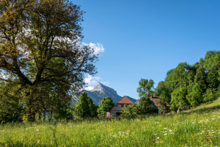 Gîte du Cheval d'Or