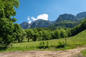 Monastère de la Grande Chartreuse – Randonnée sur le flanc est (printemps)