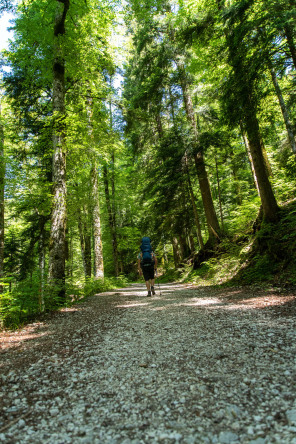 Monastère de la Grande Chartreuse – Randonnée sur le flanc est (printemps)