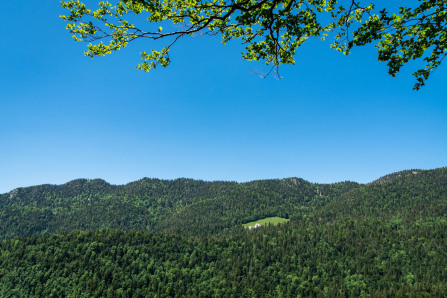 Monastère de la Grande Chartreuse – Randonnée sur le flanc est (printemps)