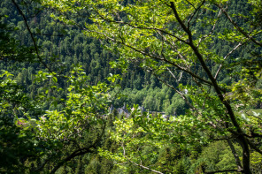 Monastère de la Grande Chartreuse – Randonnée sur le flanc est (printemps)