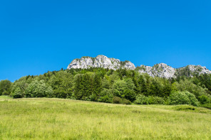 Monastère de la Grande Chartreuse – Randonnée sur le flanc est (printemps)