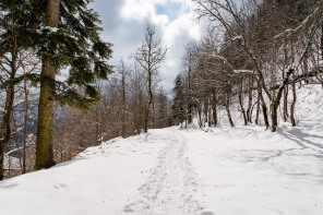 Monastère de la Grande Chartreuse – Randonnée sur le flanc ouest (hiver)