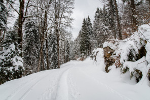 Monastère de la Grande Chartreuse – Randonnée sur le flanc ouest (hiver)