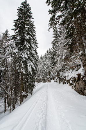 Monastère de la Grande Chartreuse – Randonnée sur le flanc ouest (hiver)