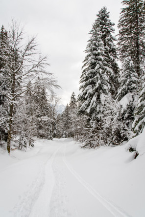 Monastère de la Grande Chartreuse – Randonnée sur le flanc ouest (hiver)