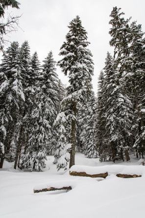 Monastère de la Grande Chartreuse – Randonnée sur le flanc ouest (hiver)