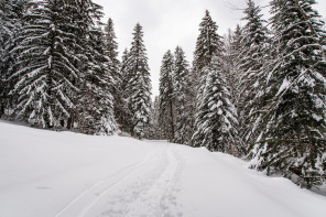 Monastère de la Grande Chartreuse – Randonnée sur le flanc ouest (hiver)