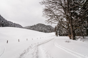 Monastère de la Grande Chartreuse – Randonnée sur le flanc ouest (hiver)