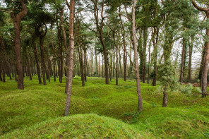 Mémorial de Vimy – Trous d'obus