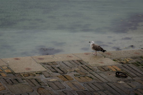 Saint-Malo