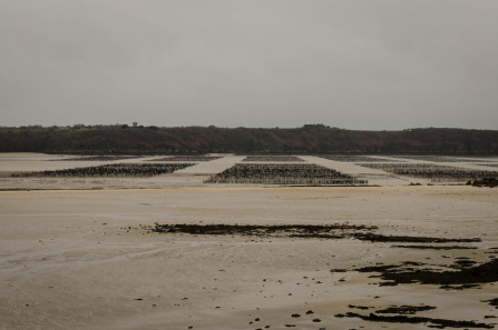 Saint-Jacut-de-la-Mer – Pointe du Chevet