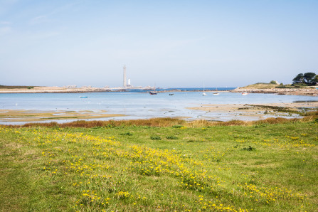 Point de vue sur l'île Vierge