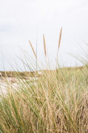 Dunes de Sainte-Marguerite