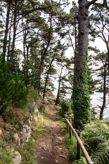 Sentier côtier près du phare du Petit Minou