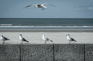 Plage de Berck