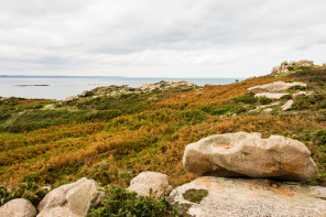 Trébeurden – Ile Milliau