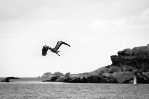 Trébeurden – Passage vers l'île Milliau