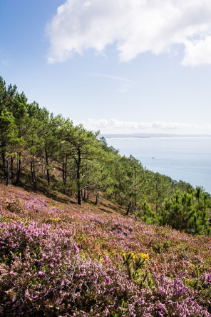 Randonnée du cap de la Chèvre