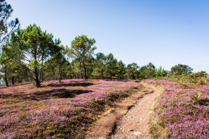 Randonnée du cap de la Chèvre