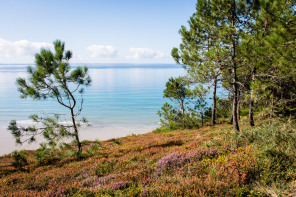 Randonnée de la plage de Trez Bihan à la plage de la Source