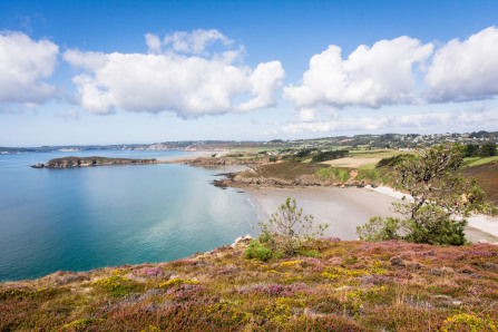 Randonnée de la plage de Trez Bihan à la plage de la Source