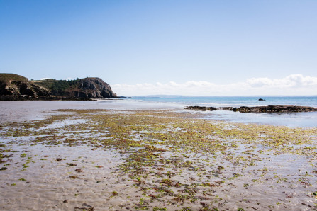 Randonnée de la plage de Trez Bihan à la plage de la Source