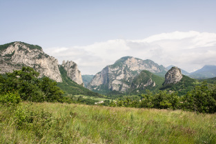 Forêt de Saou