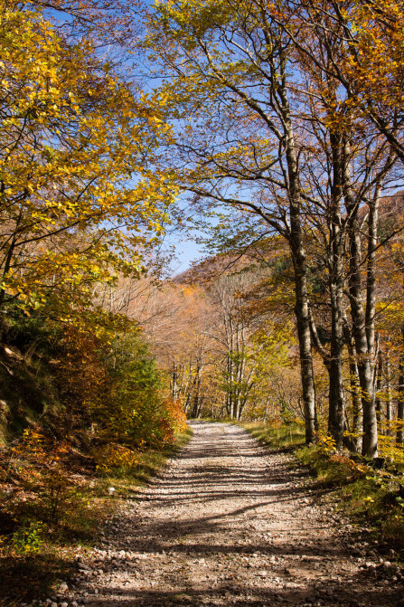 Randonnée des 3 Becs