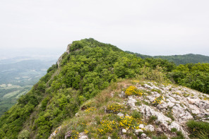 Randonnée de Roche Colombe