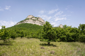 Randonnée de Roche Colombe