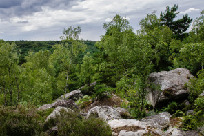 Près des gorges d'Apremont