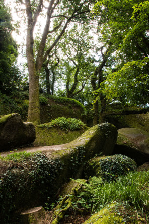 Forêt de Huelgoat