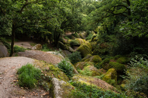 Forêt de Huelgoat